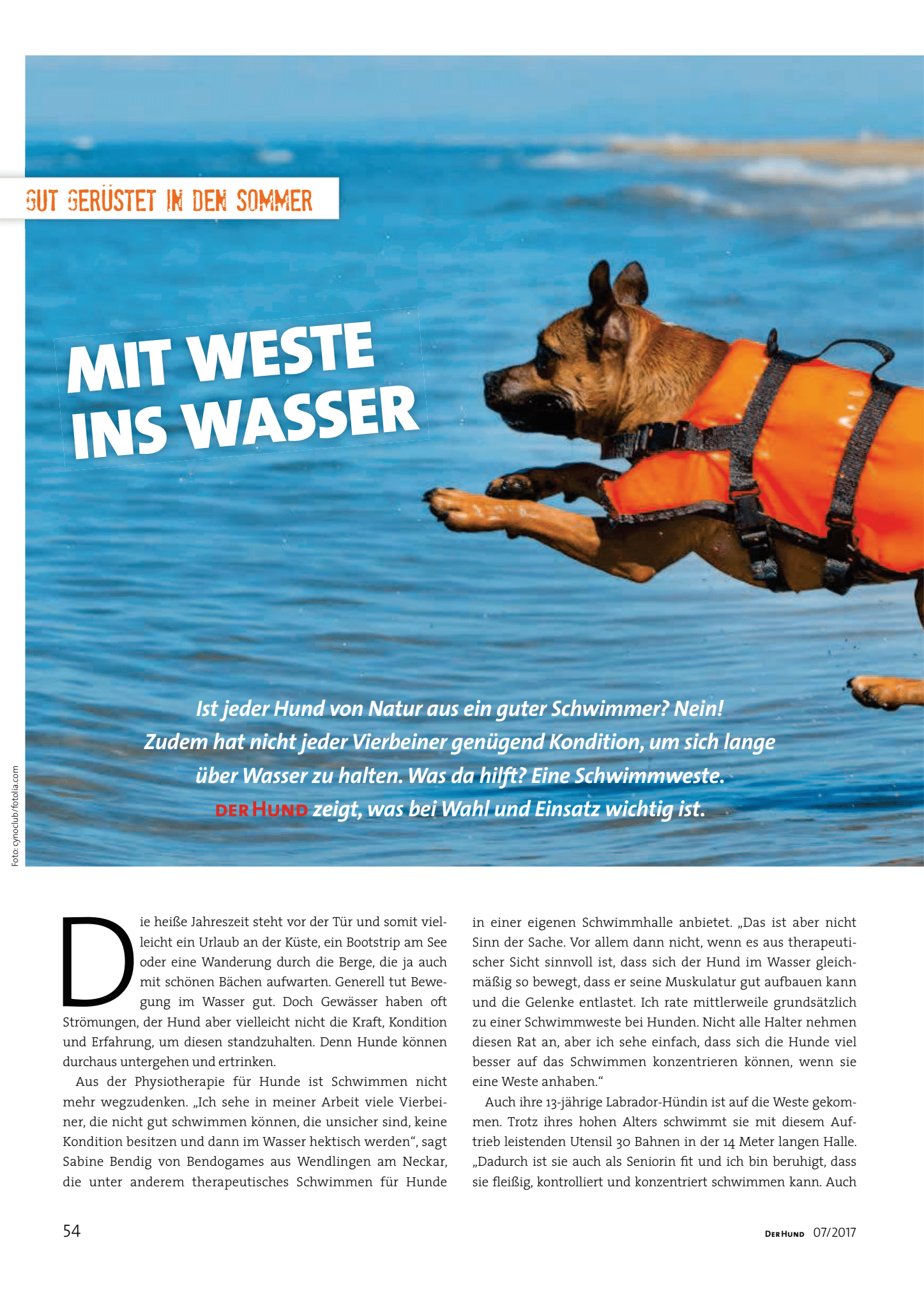Read more about the article DER HUND